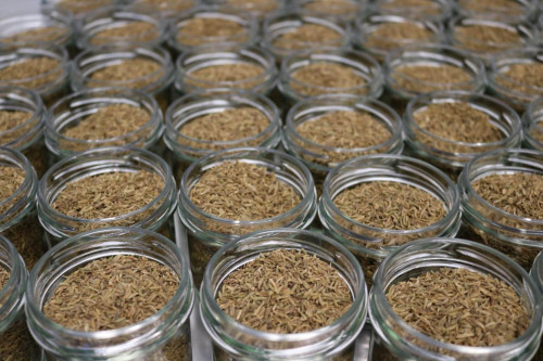 Steenbergs Organic Cumin Seed being packed in the North Yorkshire Steenbergs spice factory.