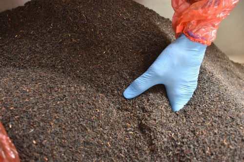 Steenbergs Organic English Breakfast Loose leaf tea being blended and packed at the Steenbergs UK tea factory in North Yorkshire.