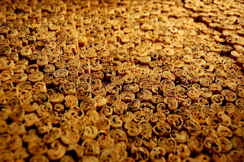 Organic Cinnamon quills waiting to be packed at the Steenbergs UK spice factory in North Yorkshire.
