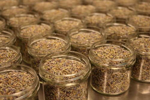 Edible organic lavender from Steenbergs UK range of organic and ethical spices, herbs and baking ingredients.
