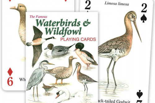 Waterbirds and Waterfowl playing cards - The Famous Card Company - from the Steenbergs UK online shop for nature illustrated playing cards.