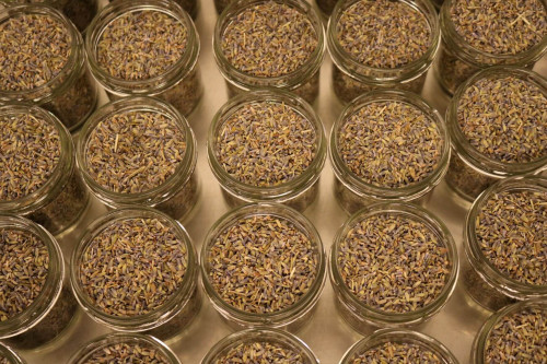 Edible organic lavender from Steenbergs, the UK's sustainable spice company.