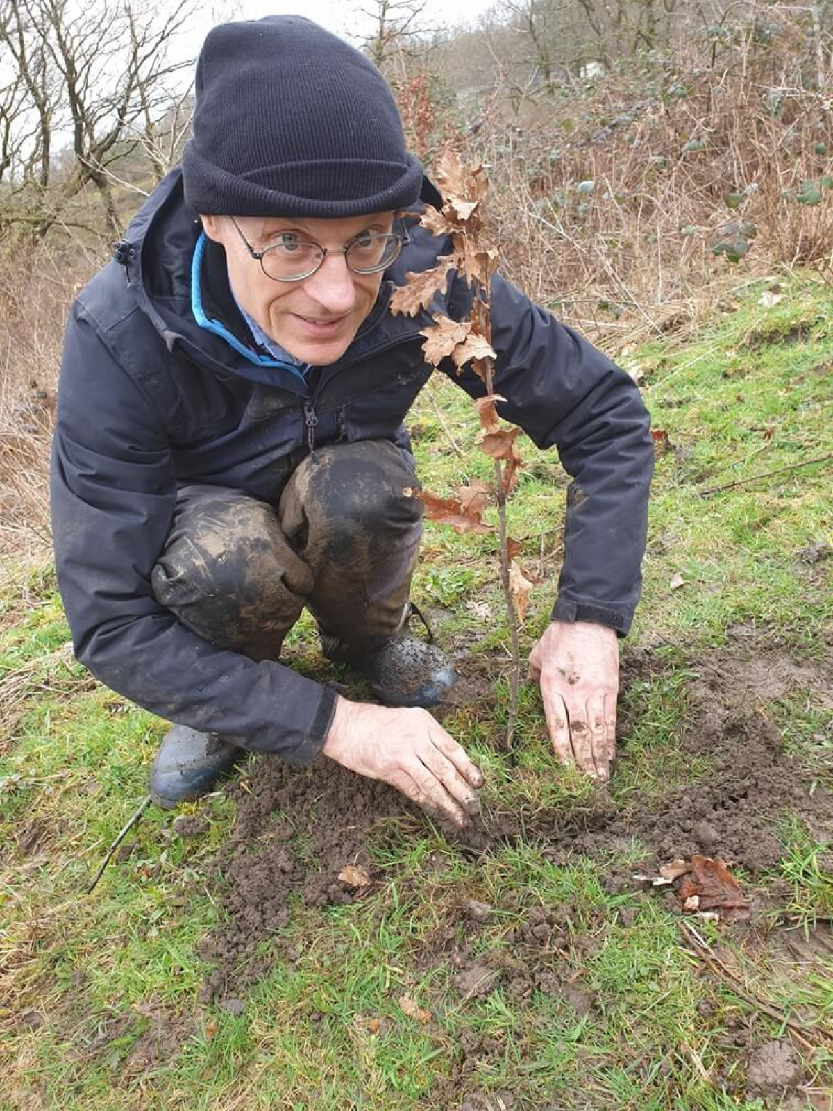 Axel Planting Sessile Oak Axel Planting Sessile Oak