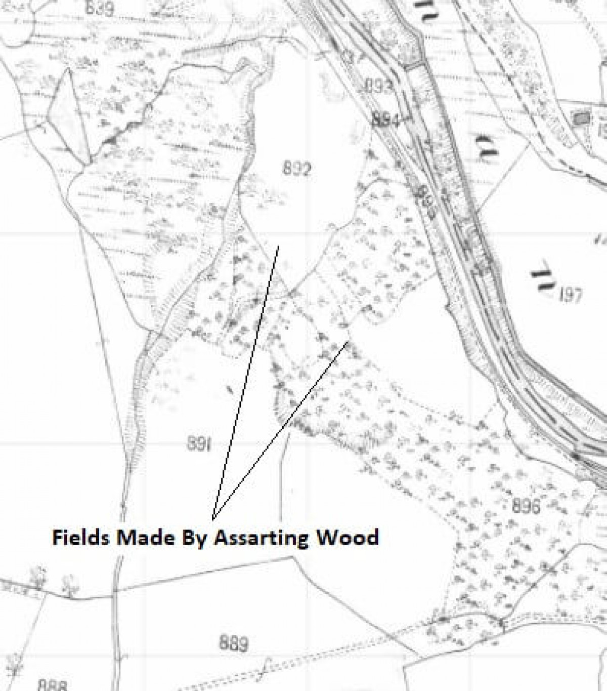 Fields Made By Cutting Back Wood At Coed Olaf In Nineteenth Century Fields Made By Cutting Back Wood At Coed Olaf In Nineteenth Century