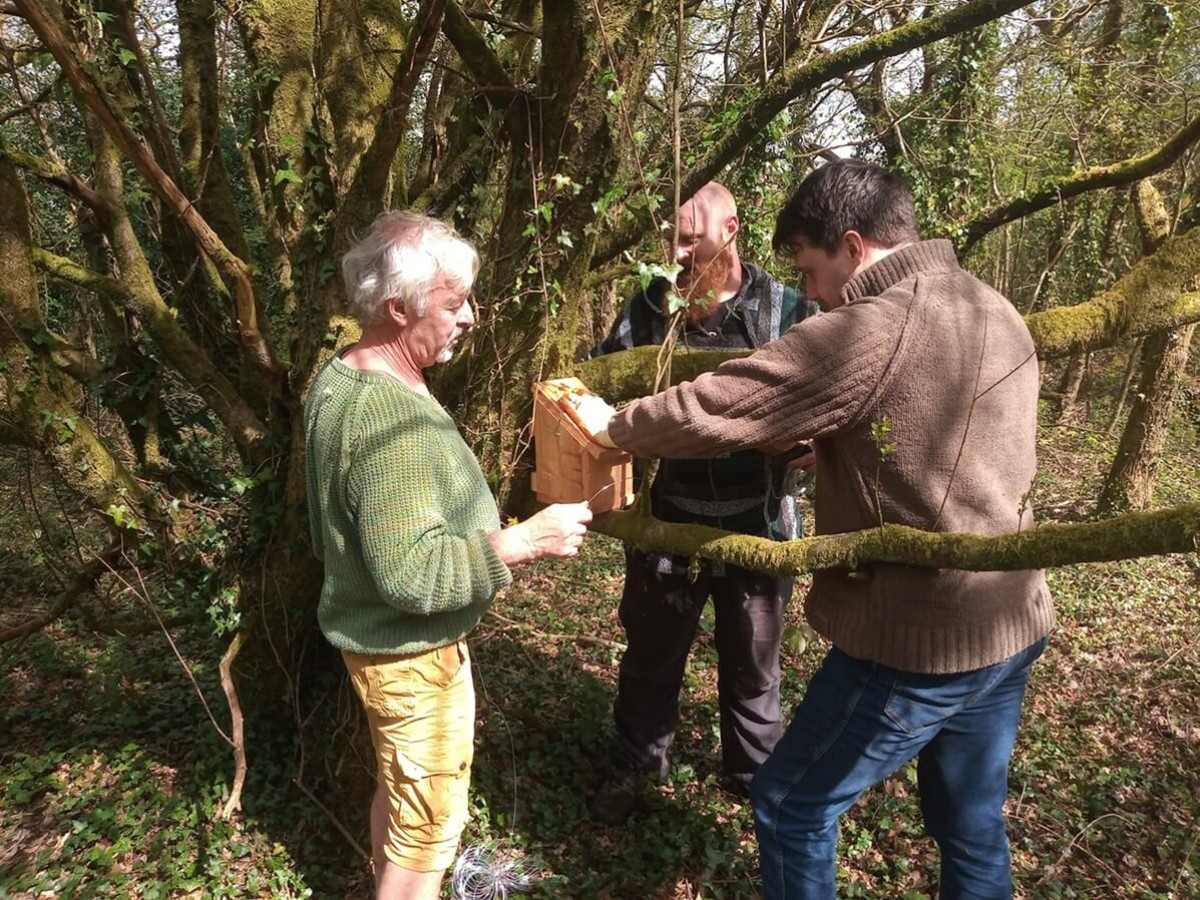 Men2Men Setting Up Dormice Boxes Men2Men Setting Up Dormice Boxes