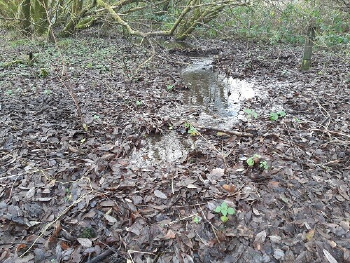 Stream That Flows Across The Triangle Then Goes To Ground Stream That Flows Across The Triangle Then Goes To Ground