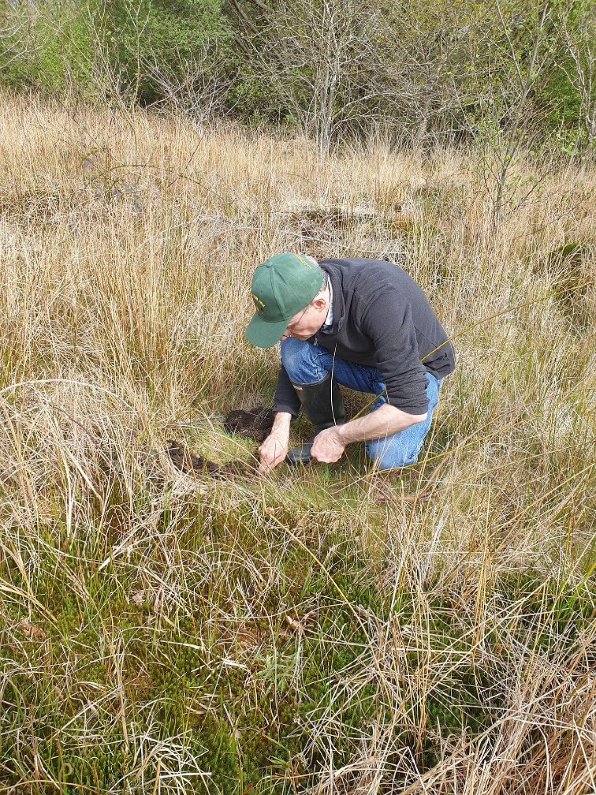 Axel Steenberg Plants Crack Willow In Olaf Wood Axel Steenberg Plants Crack Willow In Olaf Wood