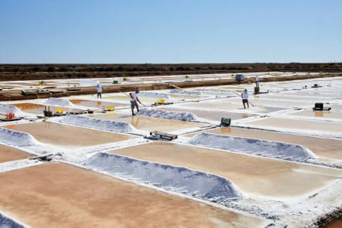 Steenbergs Fleur de Sel is traditionally harvested in the Algarve, Portugal.