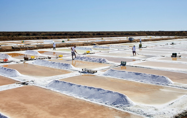 Supplier Focus: Necton Salt - traditional Portuguese hand-harvested salt